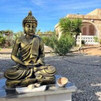 Buddha genLas Fl. 600×600 Sabine Tscharntke, Yoga macht gluecklich, Feedback Dagmar