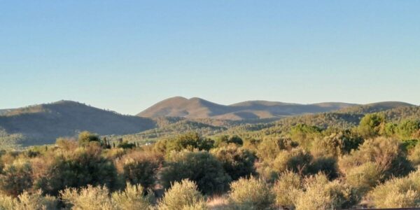 Sabine Tscharntke, Yoga macht glücklich, Weitblick Las Flores