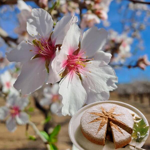Mandelkuchen vor Mandelblüte